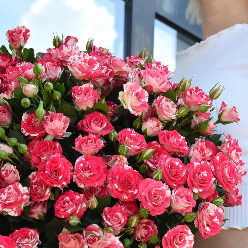Bouquet of 15 bush roses Fireworks