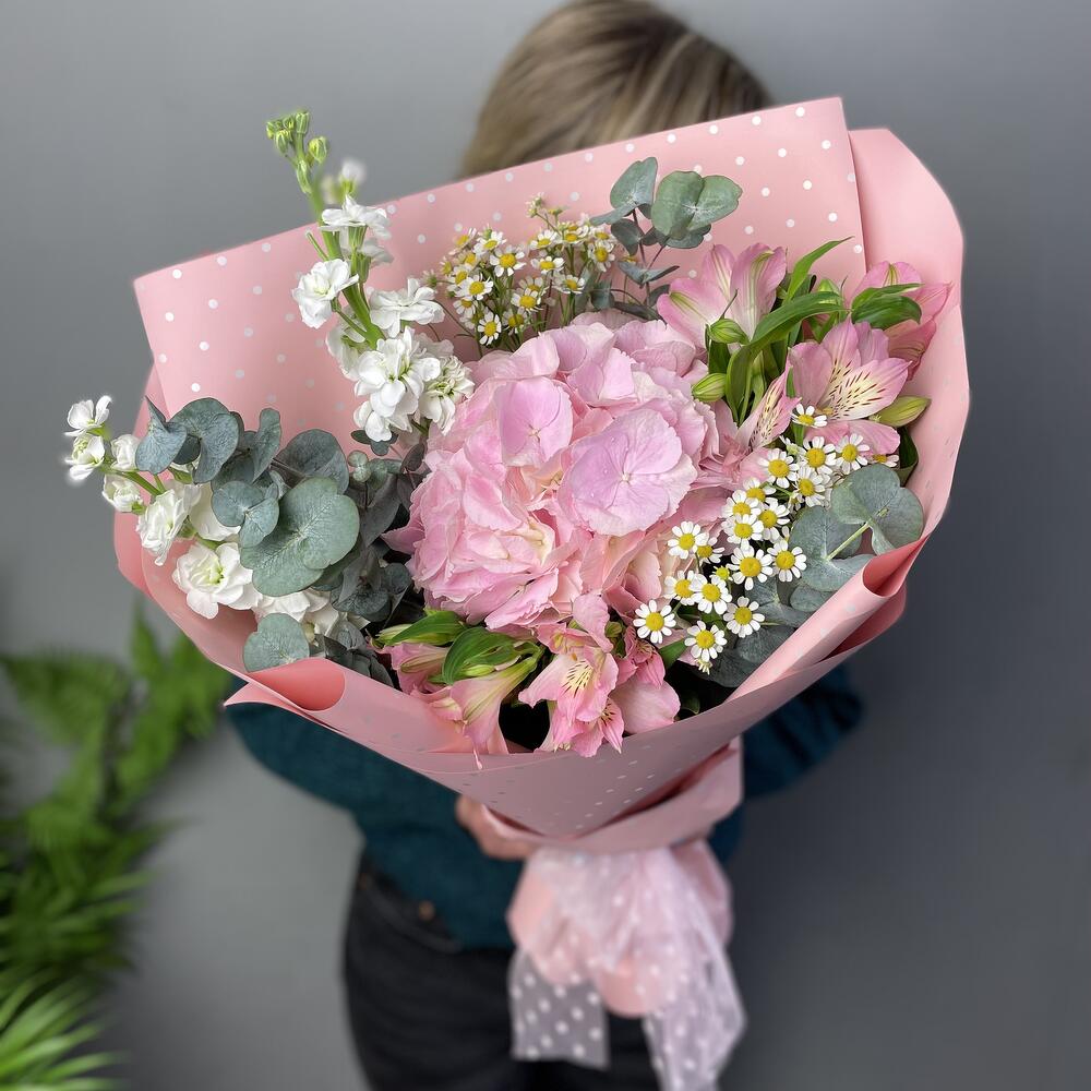 Hydrangea