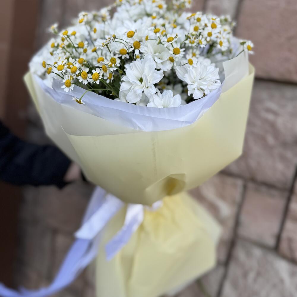 Букет ромашек 2в1