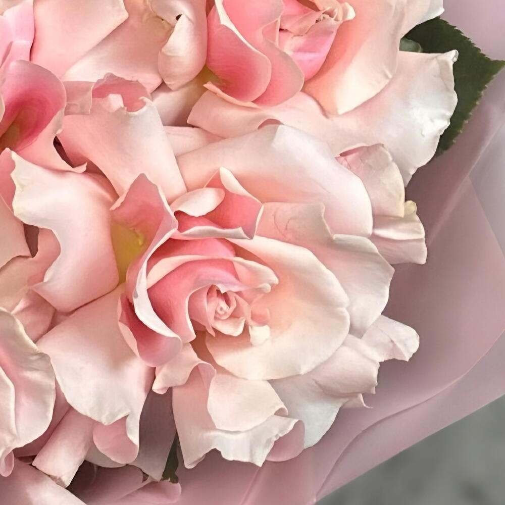 Классический букет из розовых французских роз 💕