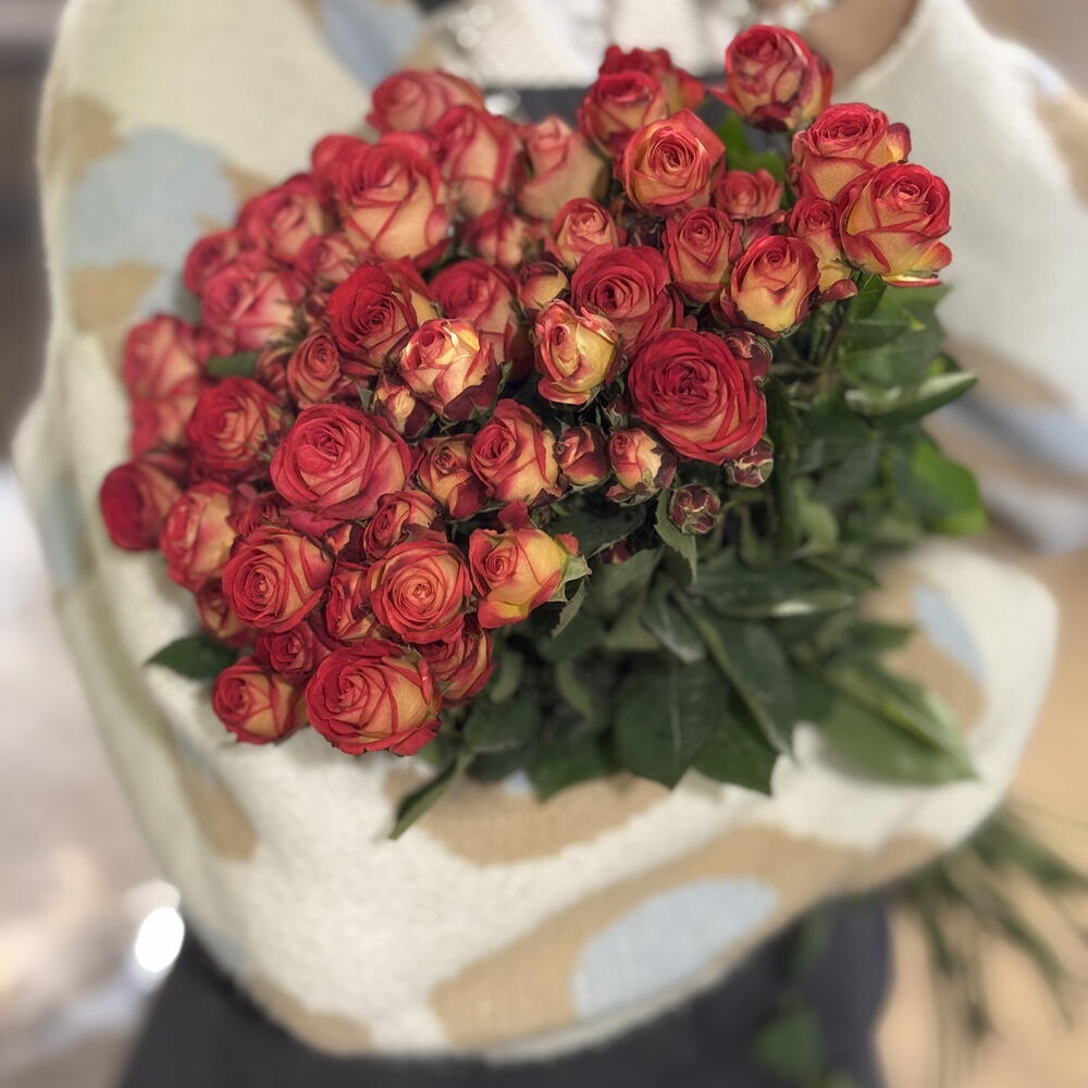 Роза кустовая градиент