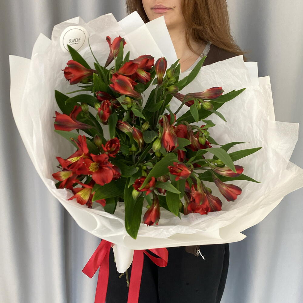 Букет из 9 бордовых альстромерий🍓