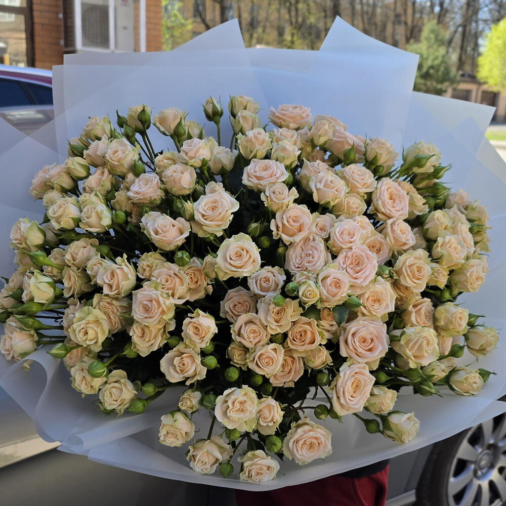 Розы Тата