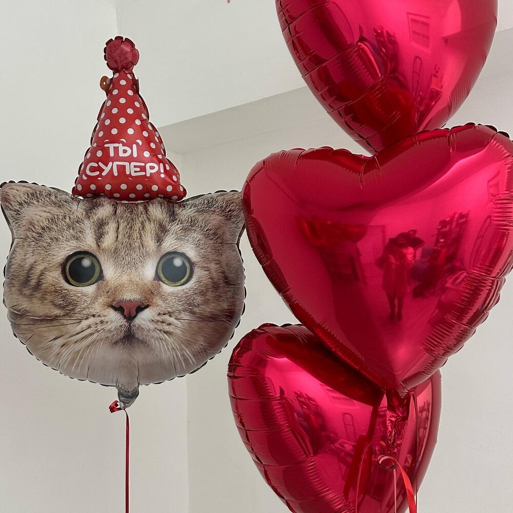 Шарики сердечки и котик