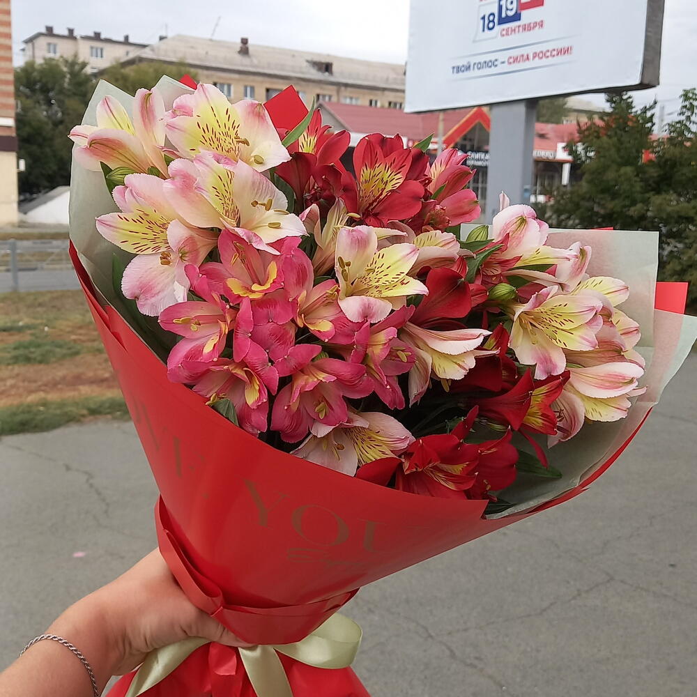 Моно букет из альстромерии