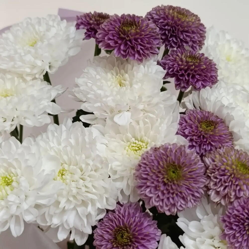 Букет «Амали»