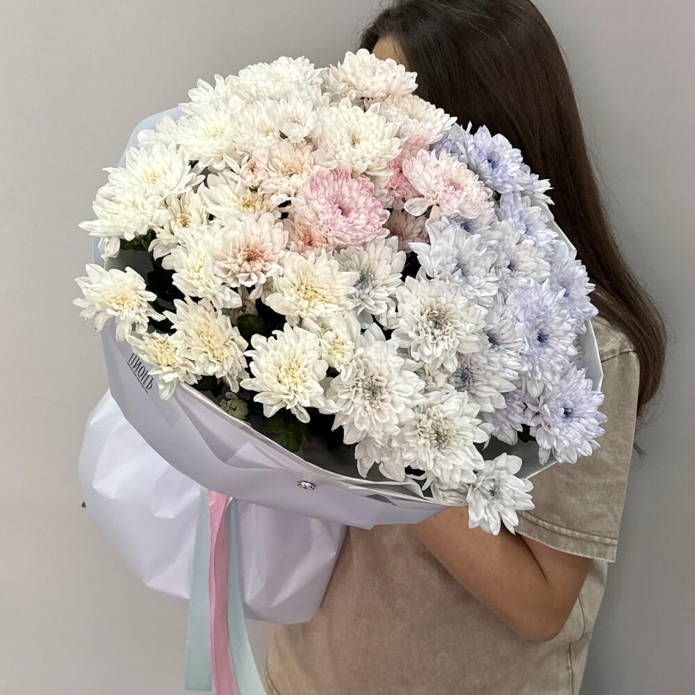 Цветные хризантемы