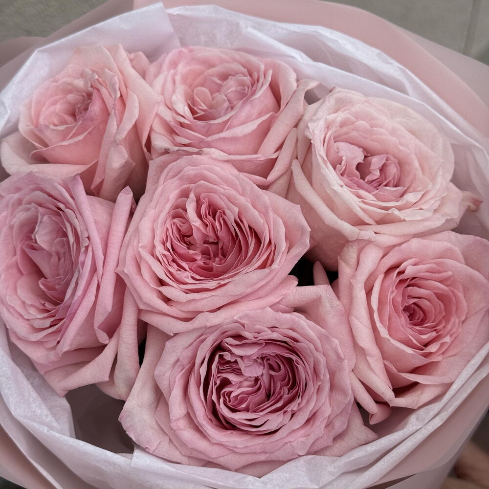 Моно букет из 7 роз Pink Ohara