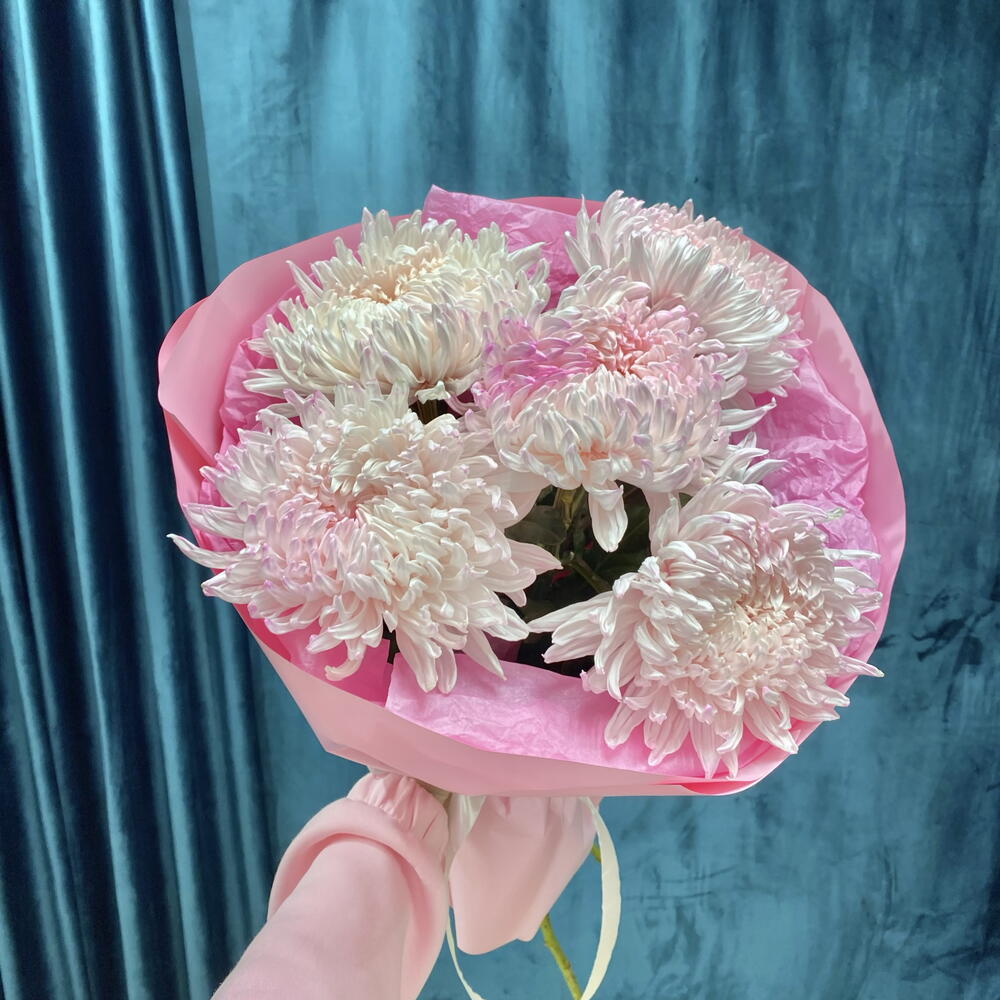 Хризантемы «зефирные»🌸