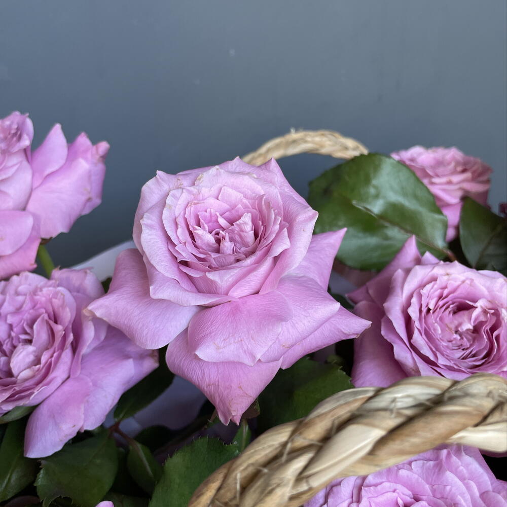 Розы в корзине🌺