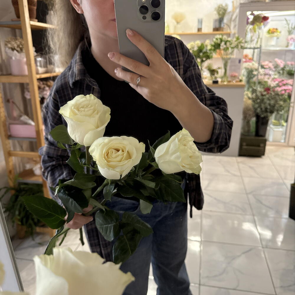 Роза белая