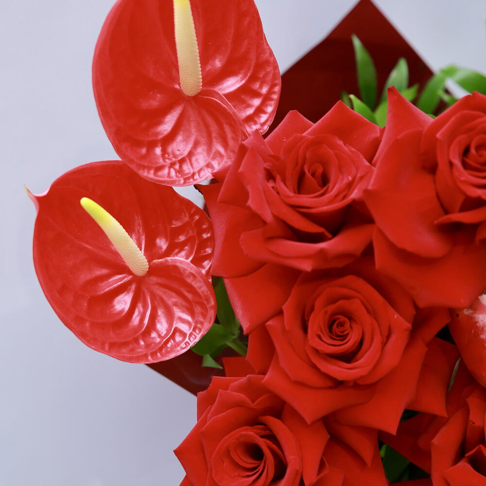 Red Lİ