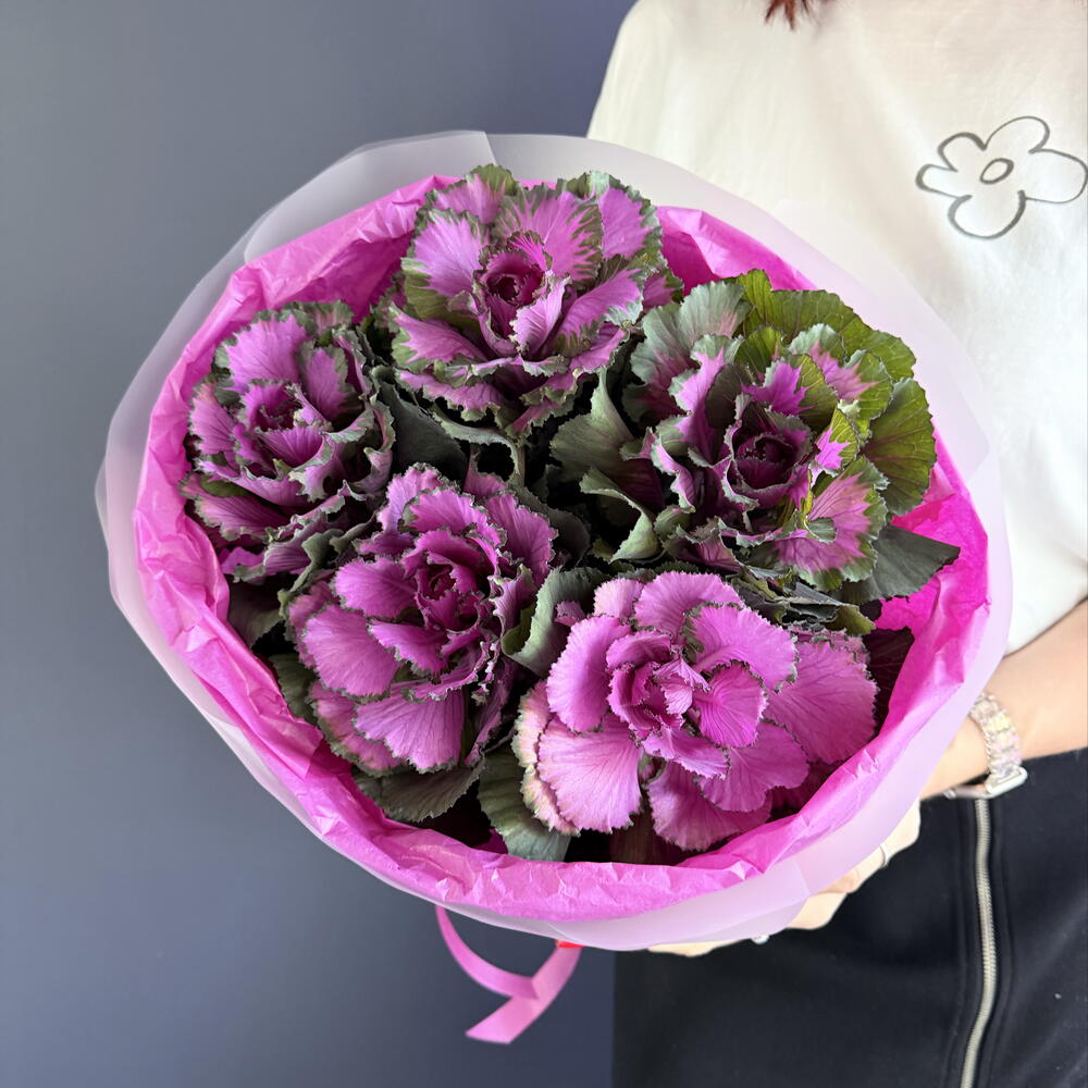 Брассика 💕 декоративная капуста