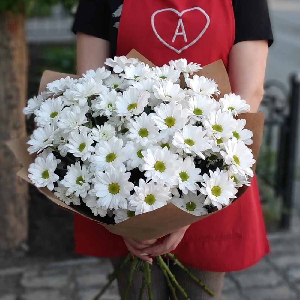 💐Ромашковое чудо Хризантема