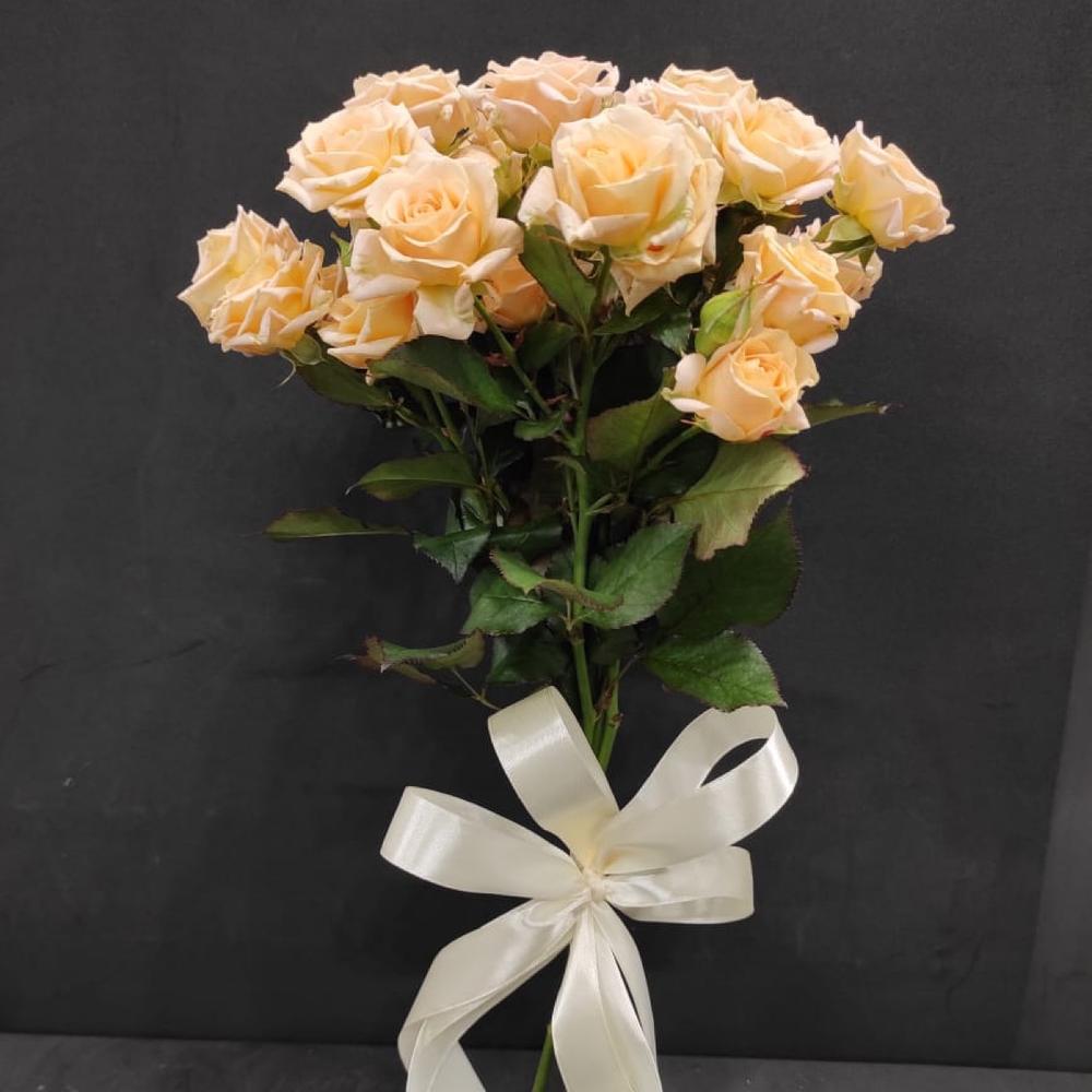 Bush Rose 5