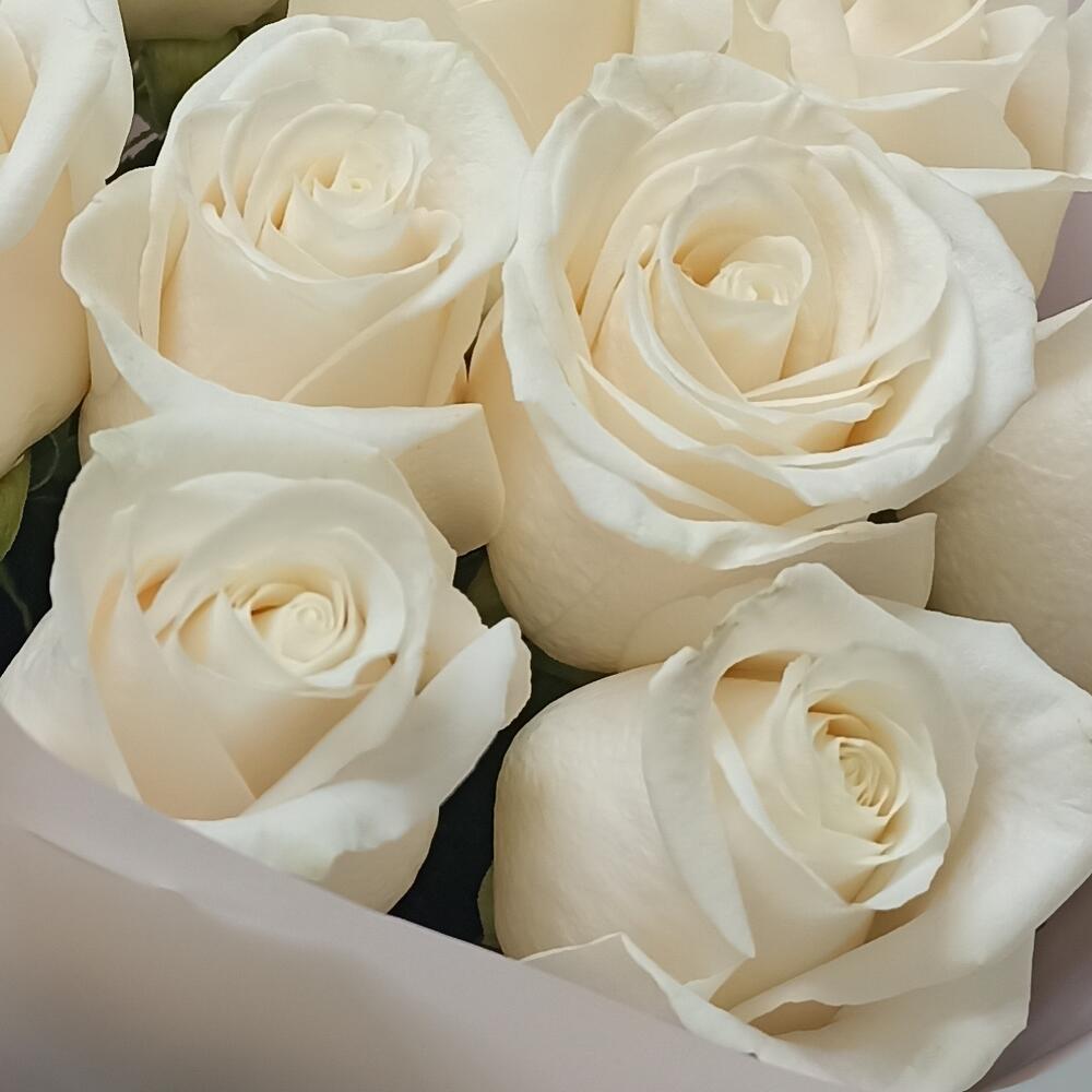 💐Белые розы