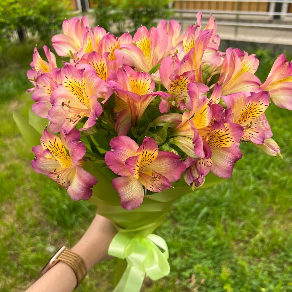 Букет альстромерия