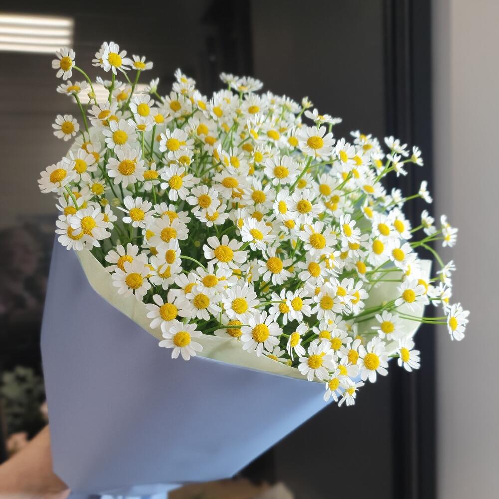 Букет из ромашек