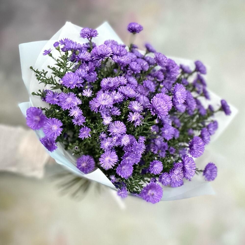Сентябринки ( астры ) красивый букет