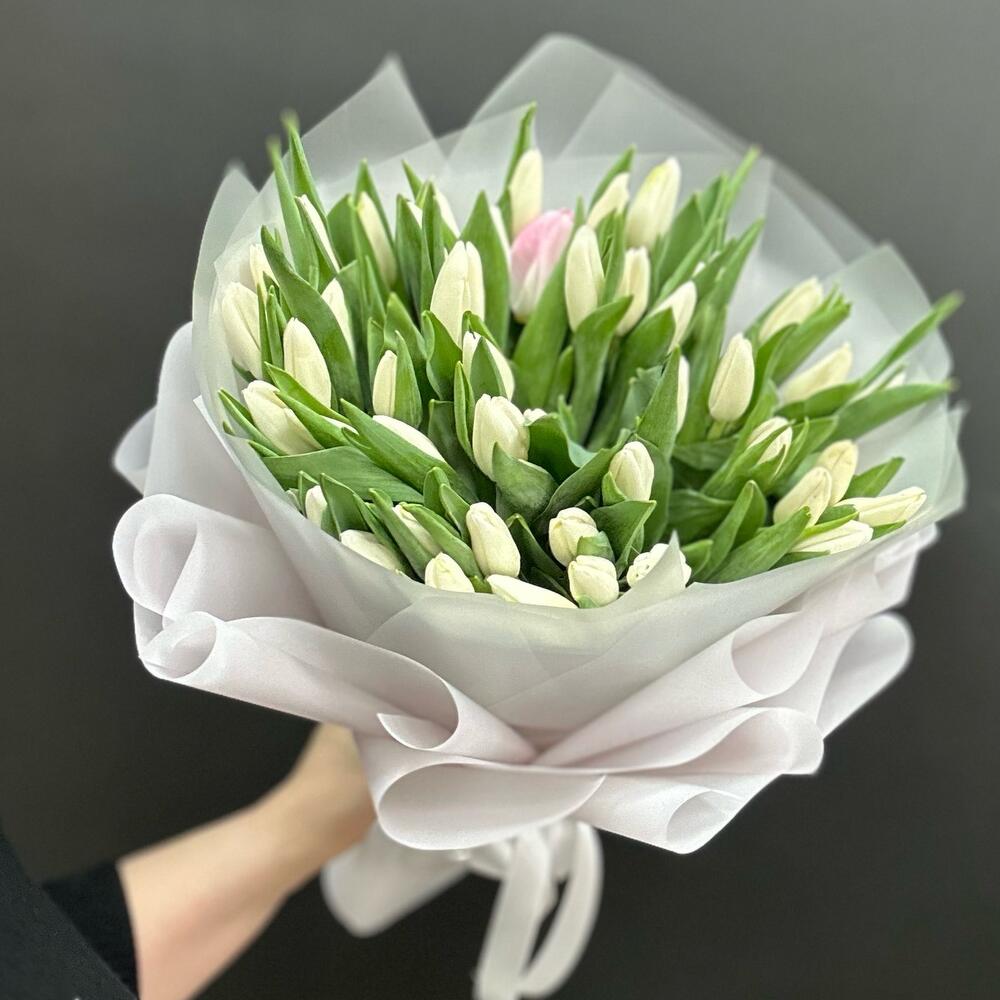 Белые тюльпаны как выглядит цветы
