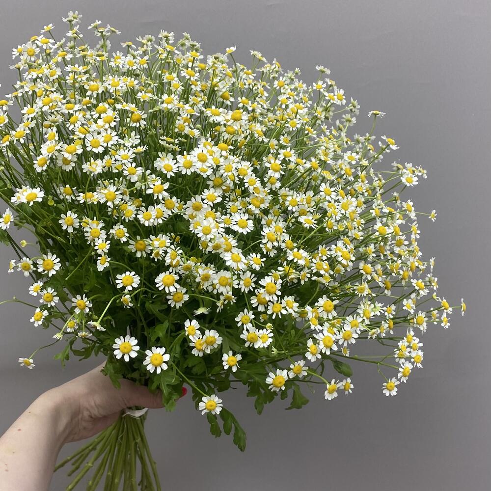 Букет Летняя поляна