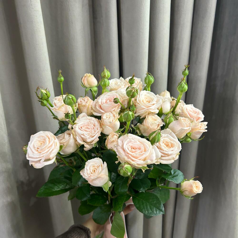 Букет комплимент из кустовых роз 🤍🌸