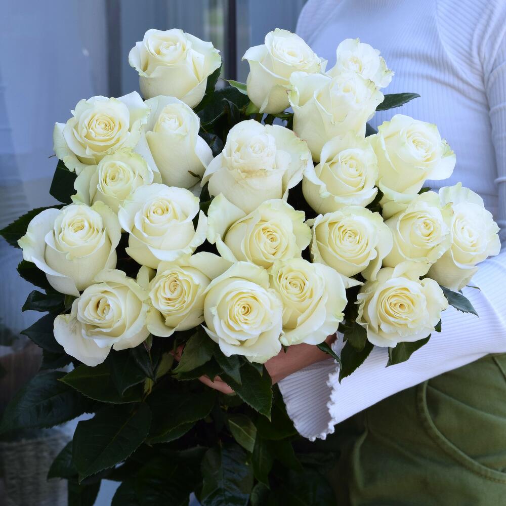 Bouquet of 21 white Mondial roses