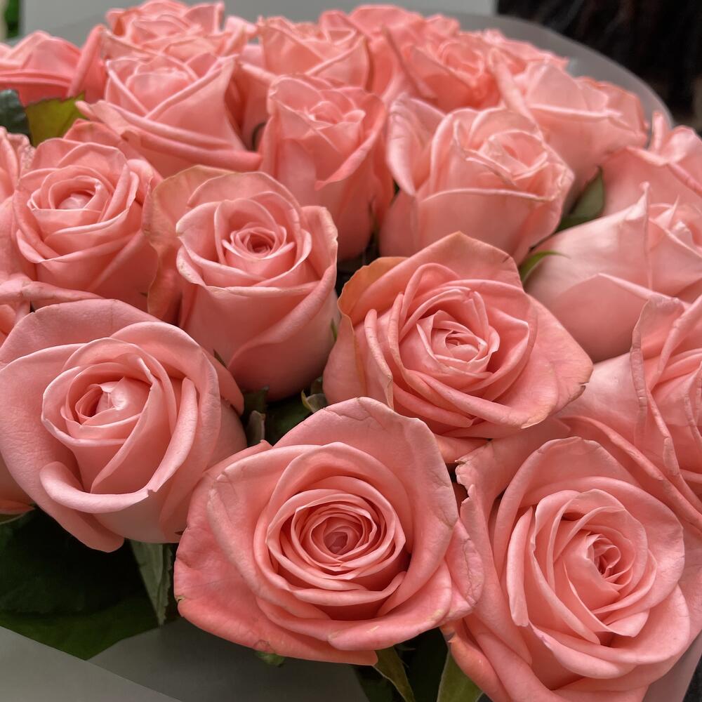 «Нежность в розовом» 🌸 моно букет 25 роз