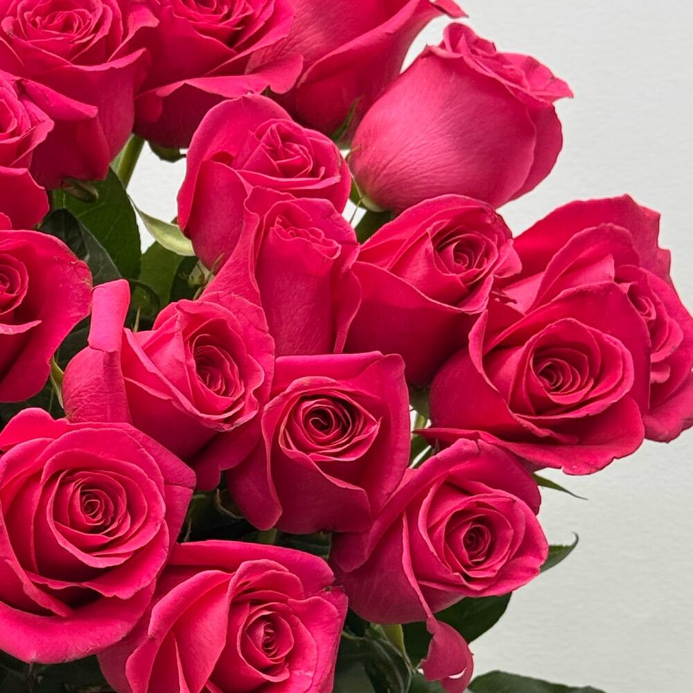 Bouquet of 21 Pink Floyd roses