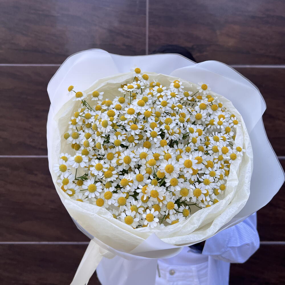 Воздушный как облако букет из ромашек💛 🤍