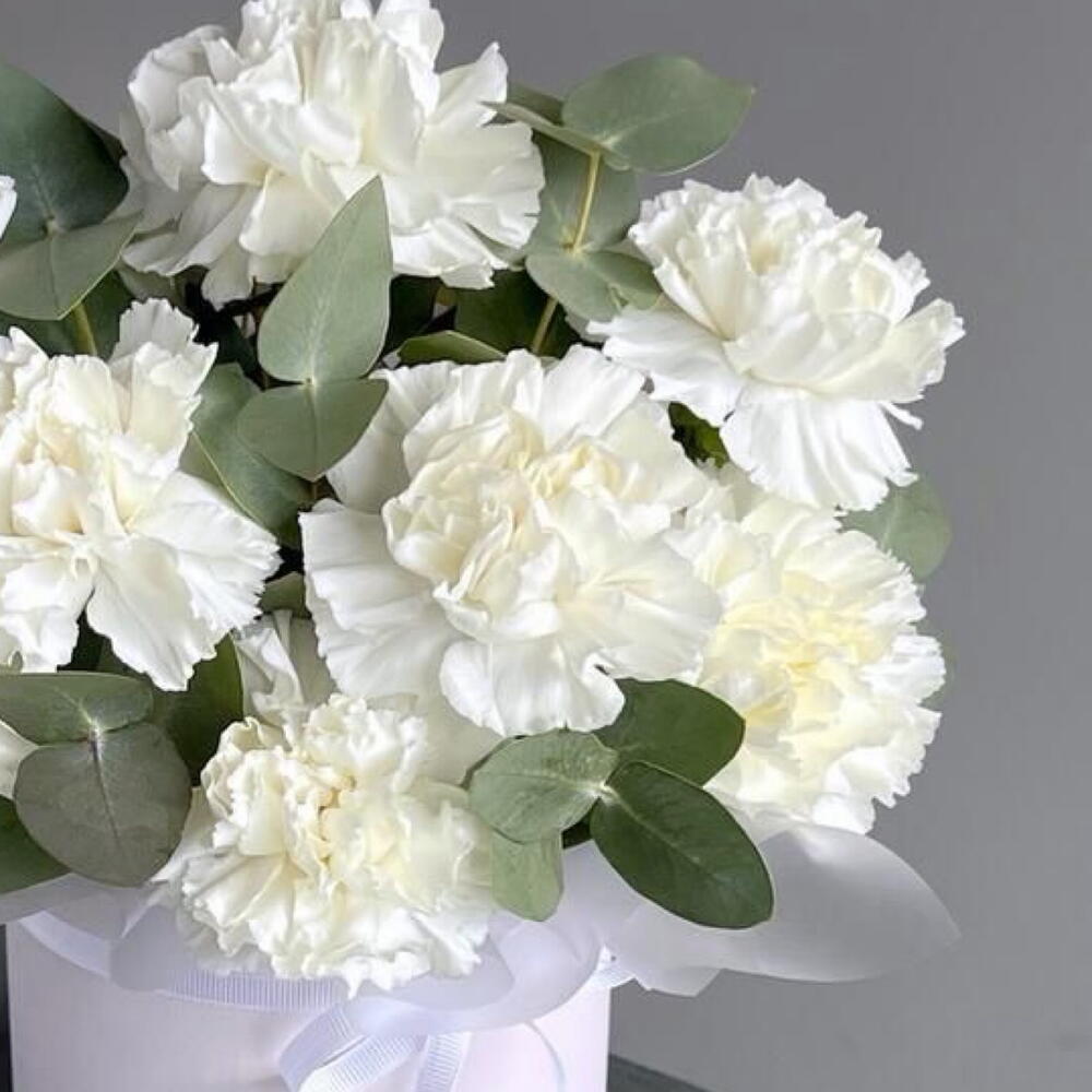 Flowers in a box - dianthus