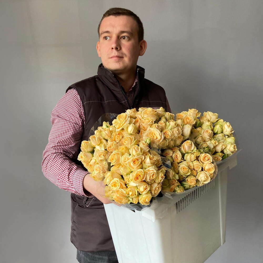 Пачка Роза кустовая "Солинеро" 10 шт. Высота 60 см