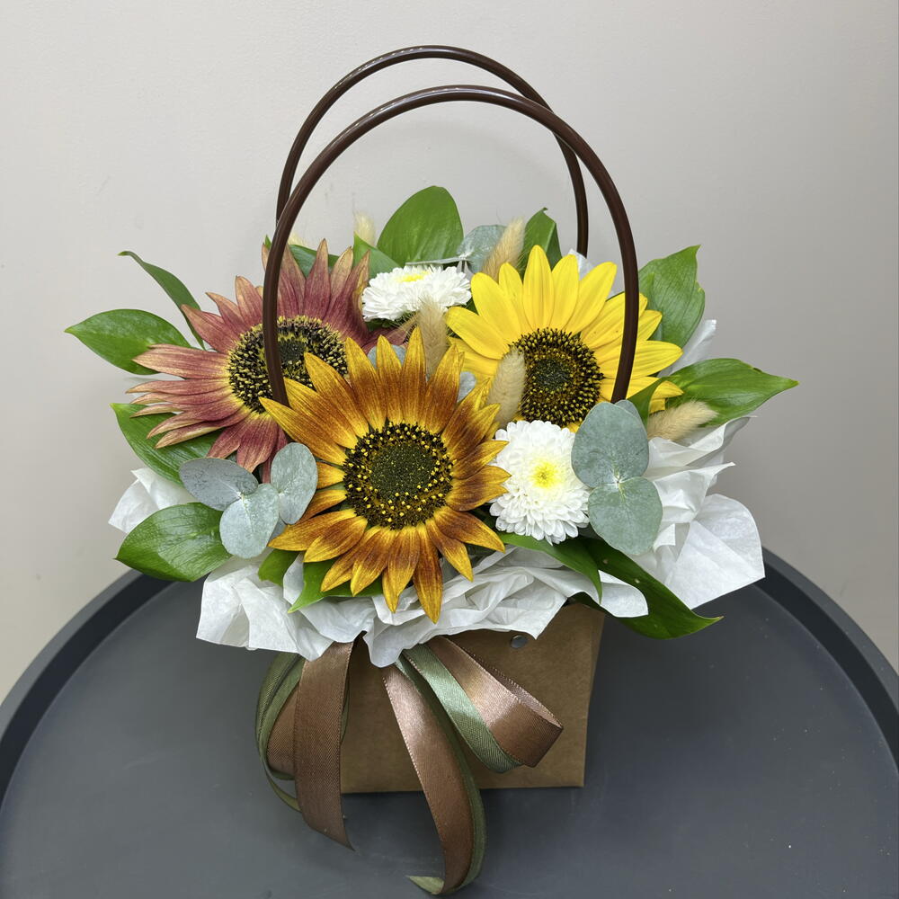 Сортовые солнечные подсолнухи 🌻