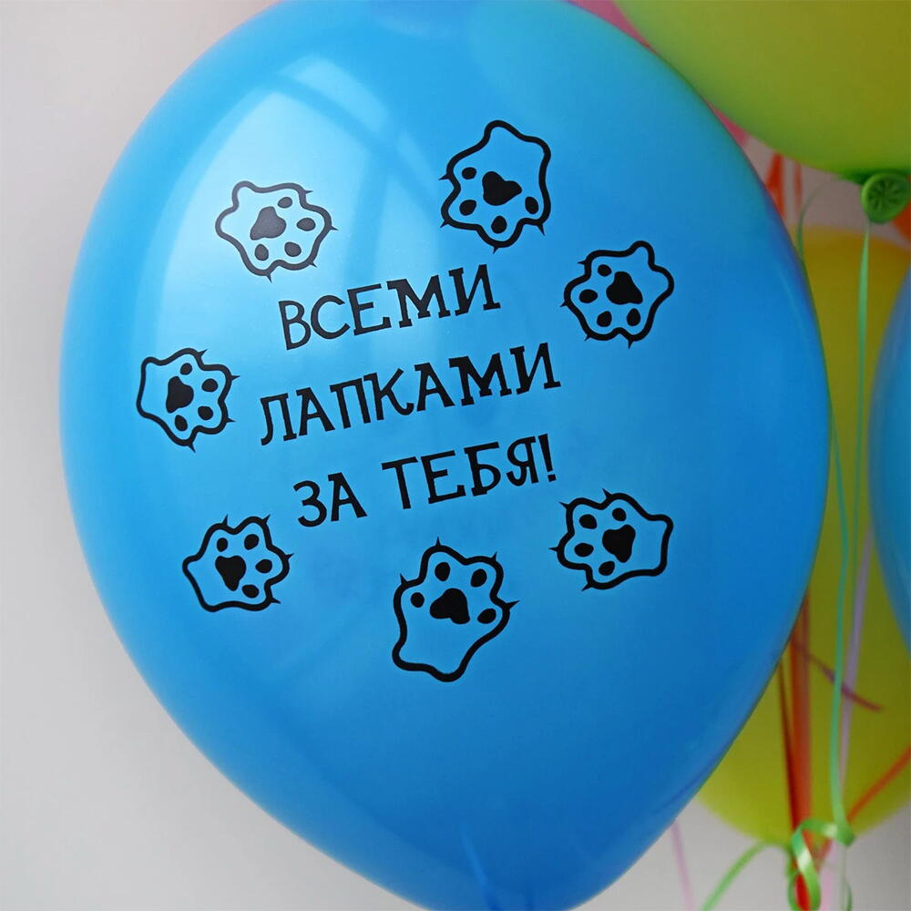 Шары набор Котики