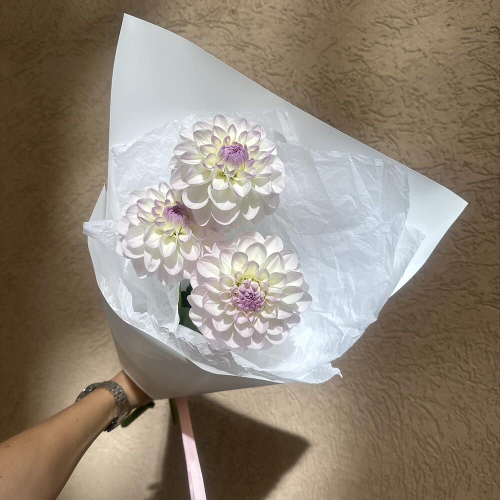 Букет из георгин мини комплимент