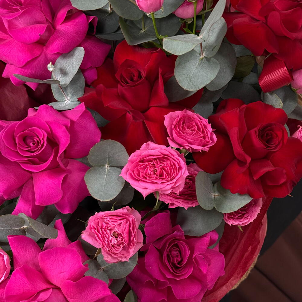 Garden roses