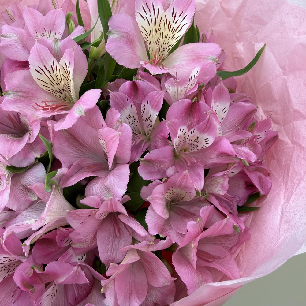 Букет-комплимент из розовых альстромерий 💐