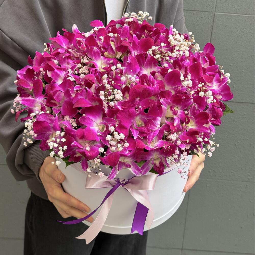 Фиалетовый дендробиум с гипсофилой в большой коробке 💐