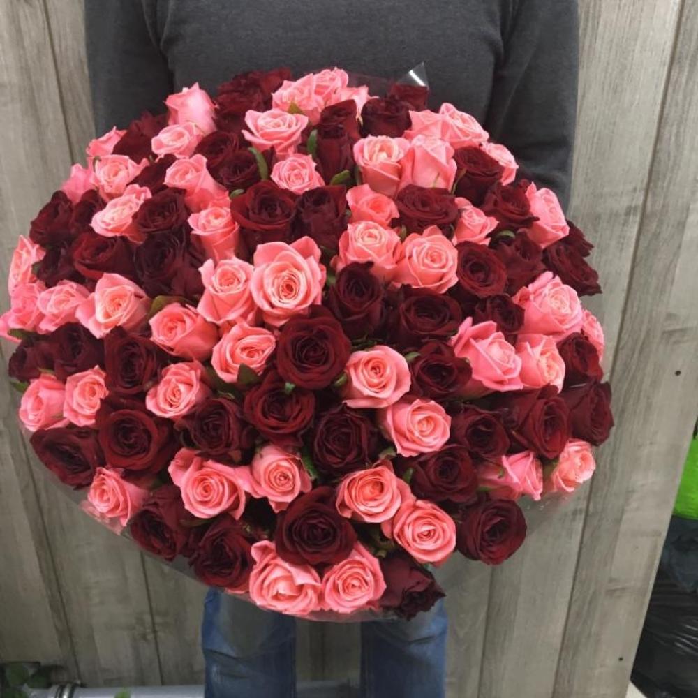 Купить Букет 101 Роза Саратов