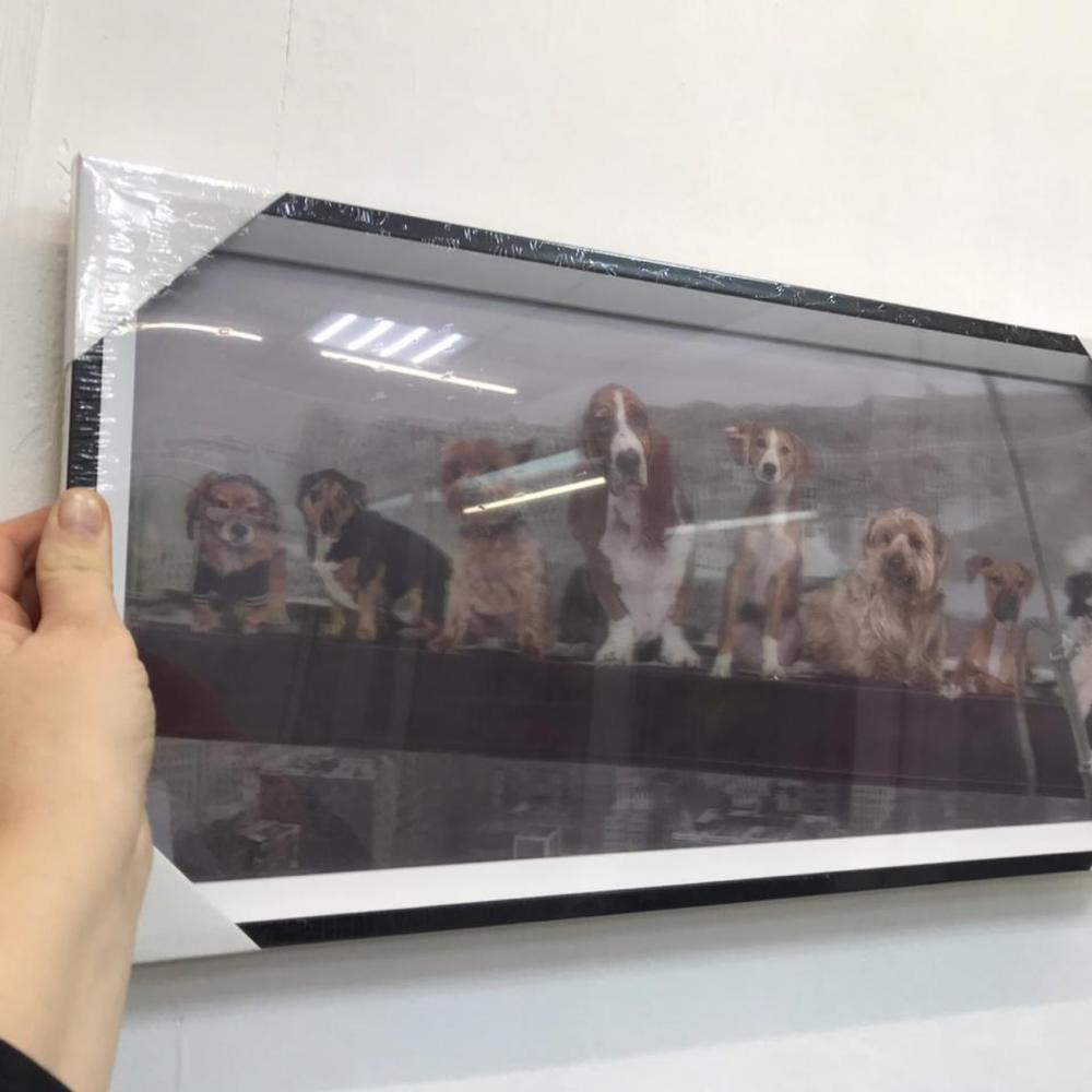 Картина собаки 3D