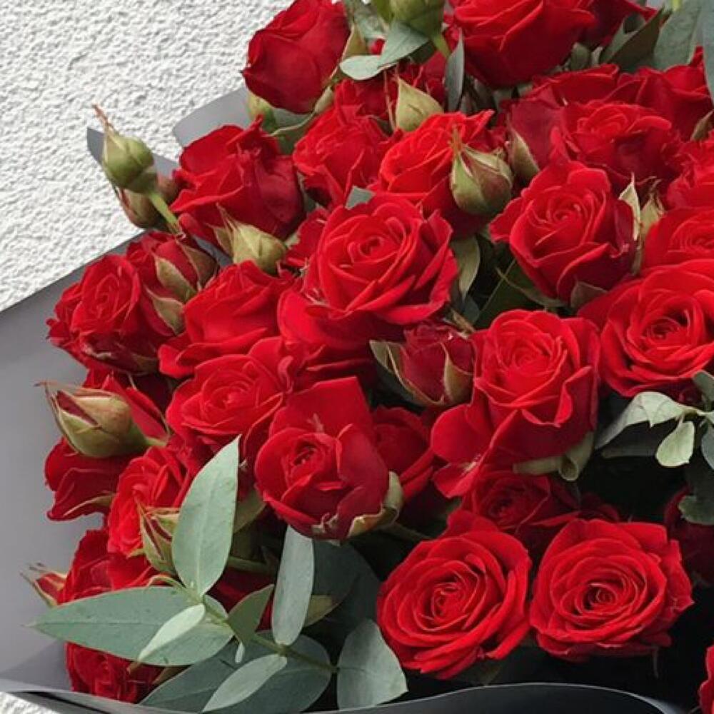 Кустовая Роза 🌹