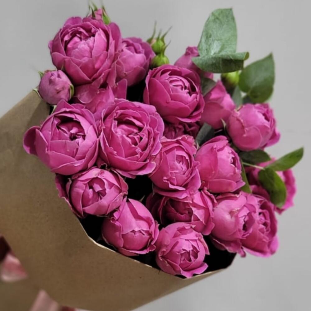 Розы кустовые пионовидные 💝