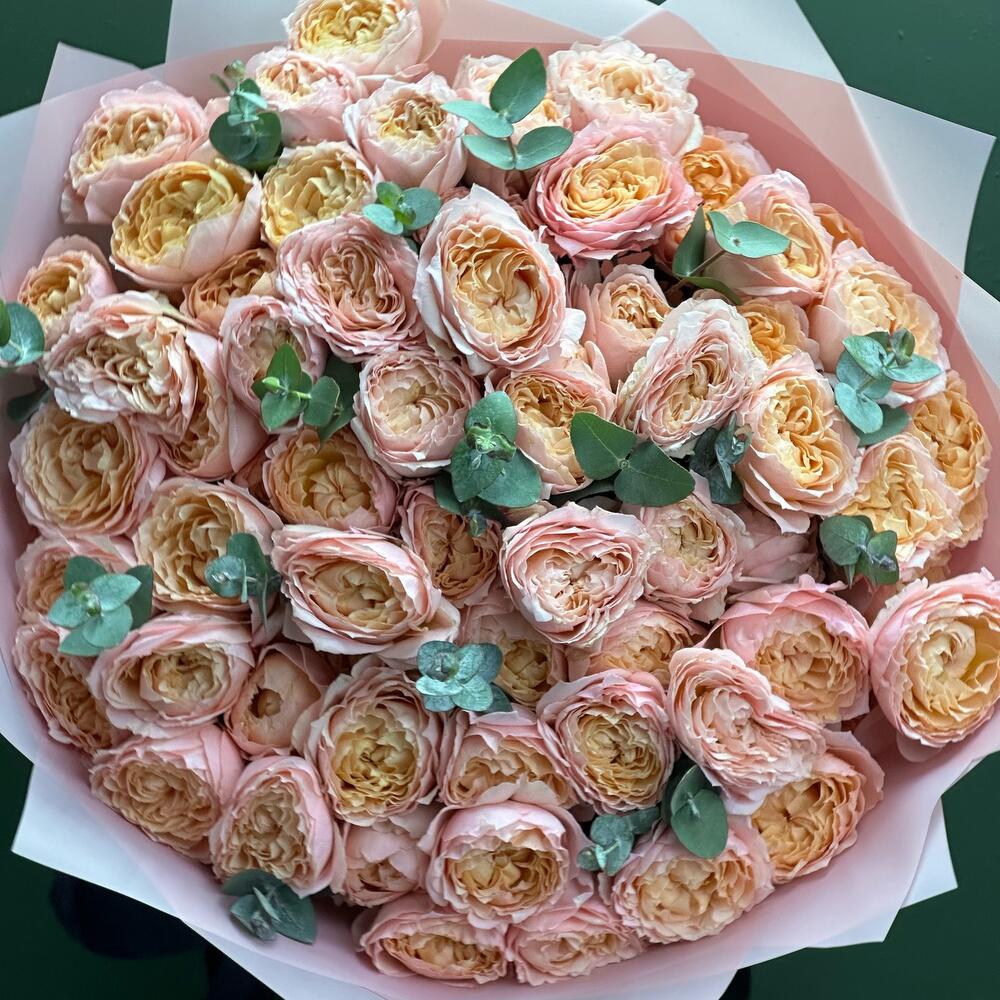 Роза  Джульетта