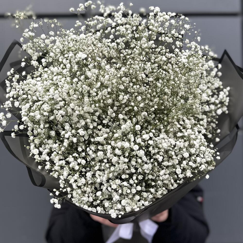 Gypsophila with registration