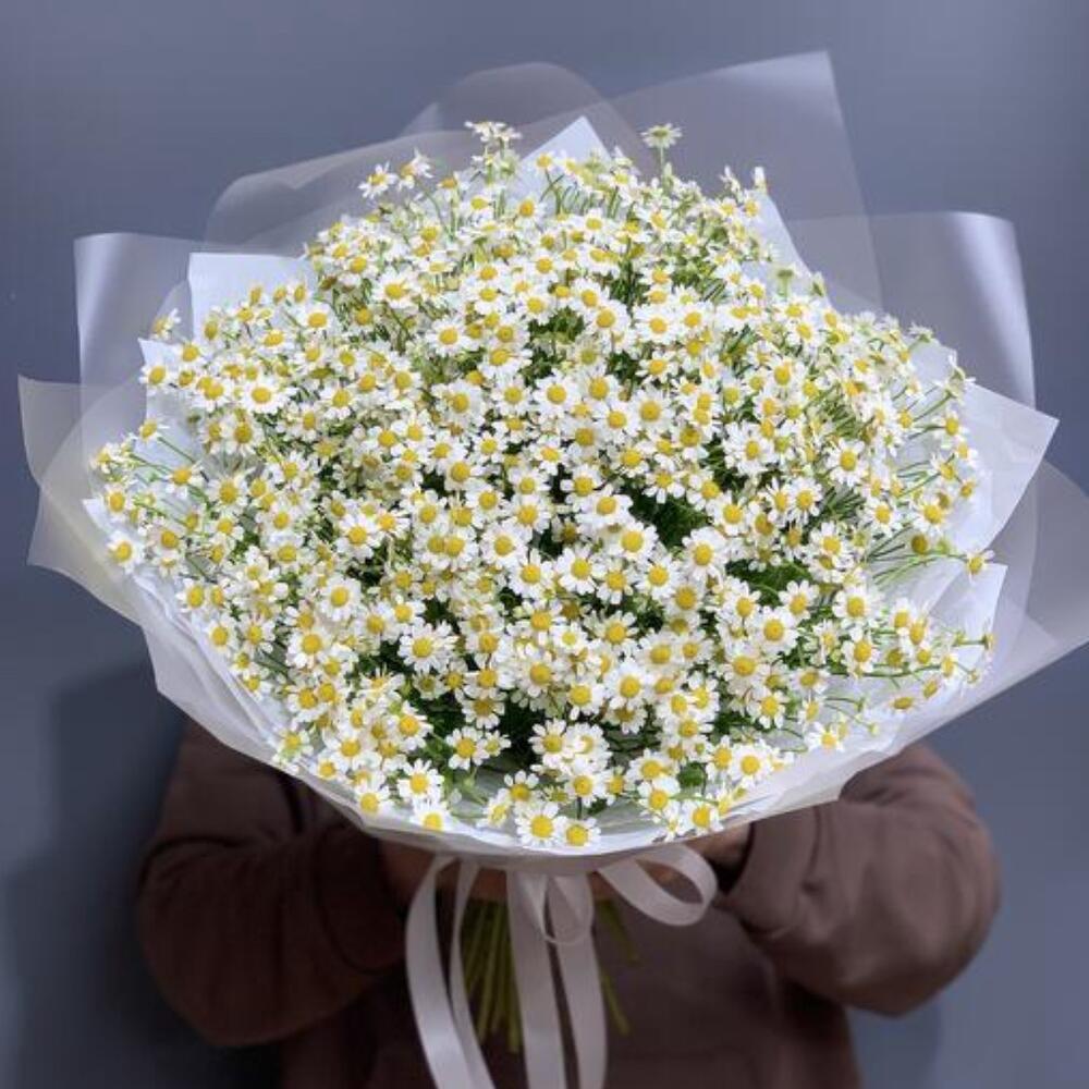 Букет из ромашек (35 шт)