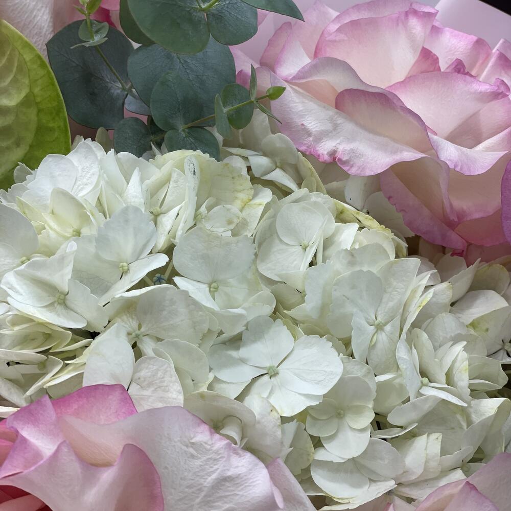 Утренняя Мелодия 🌸