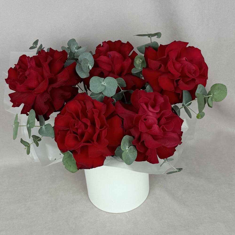 5 французских красных роз в шляпной коробке🌹