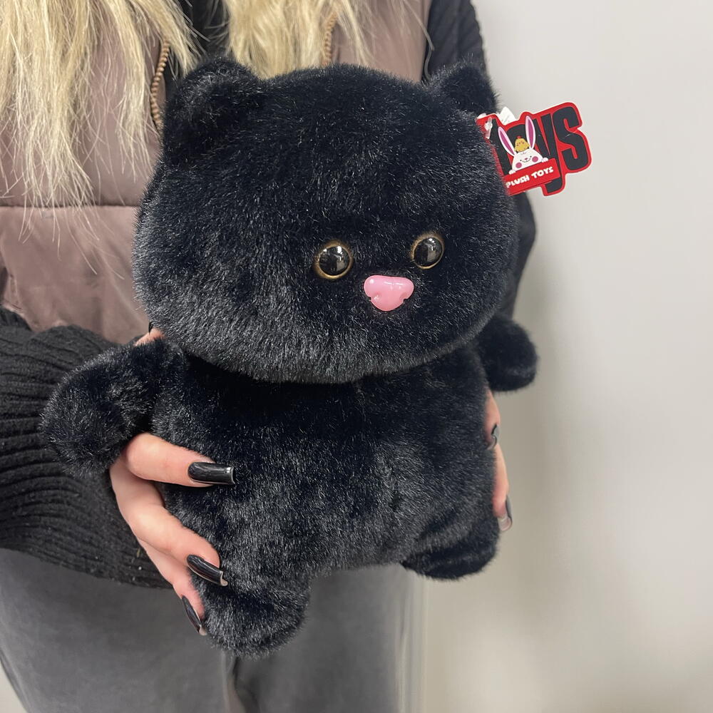 Чёрный кот