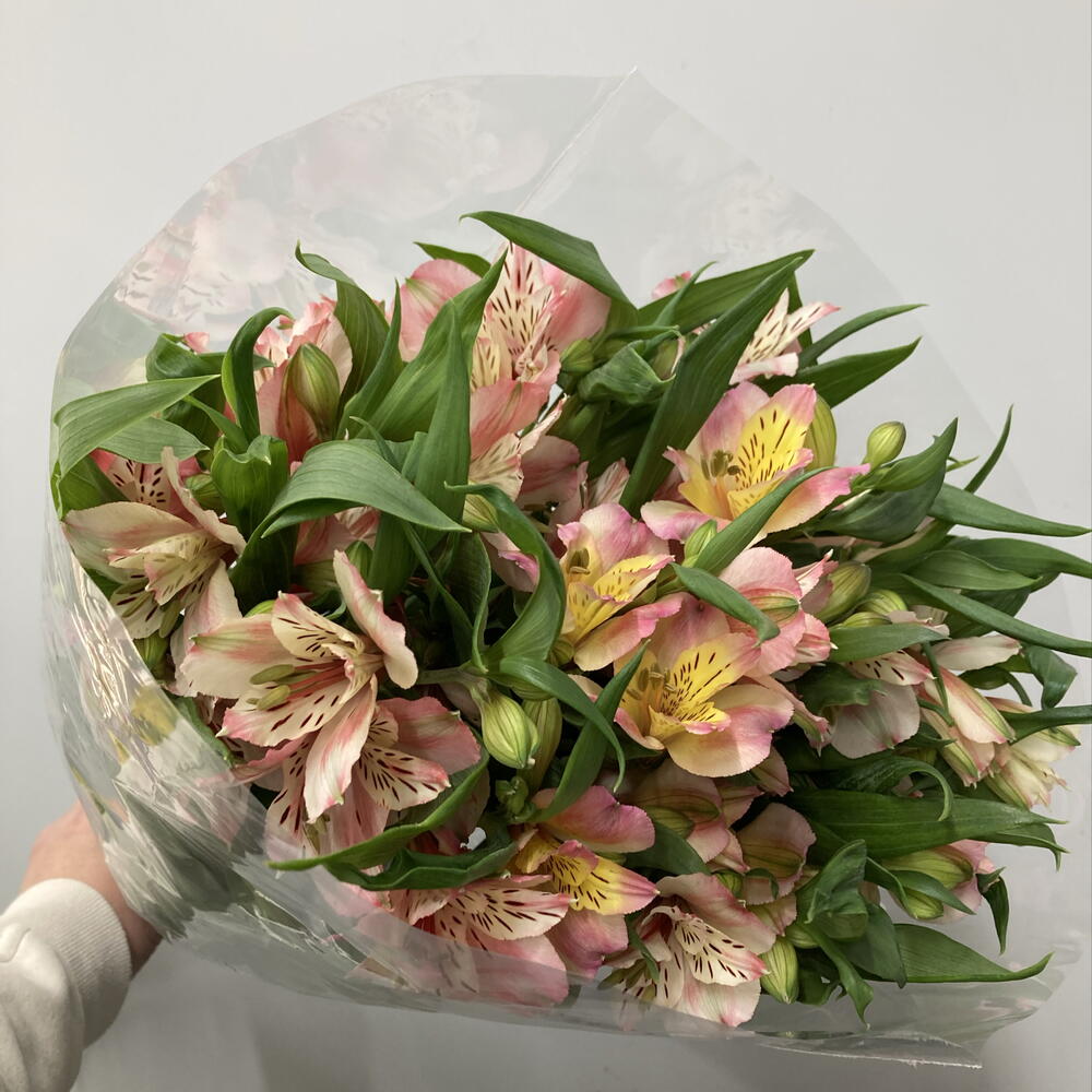review-photo