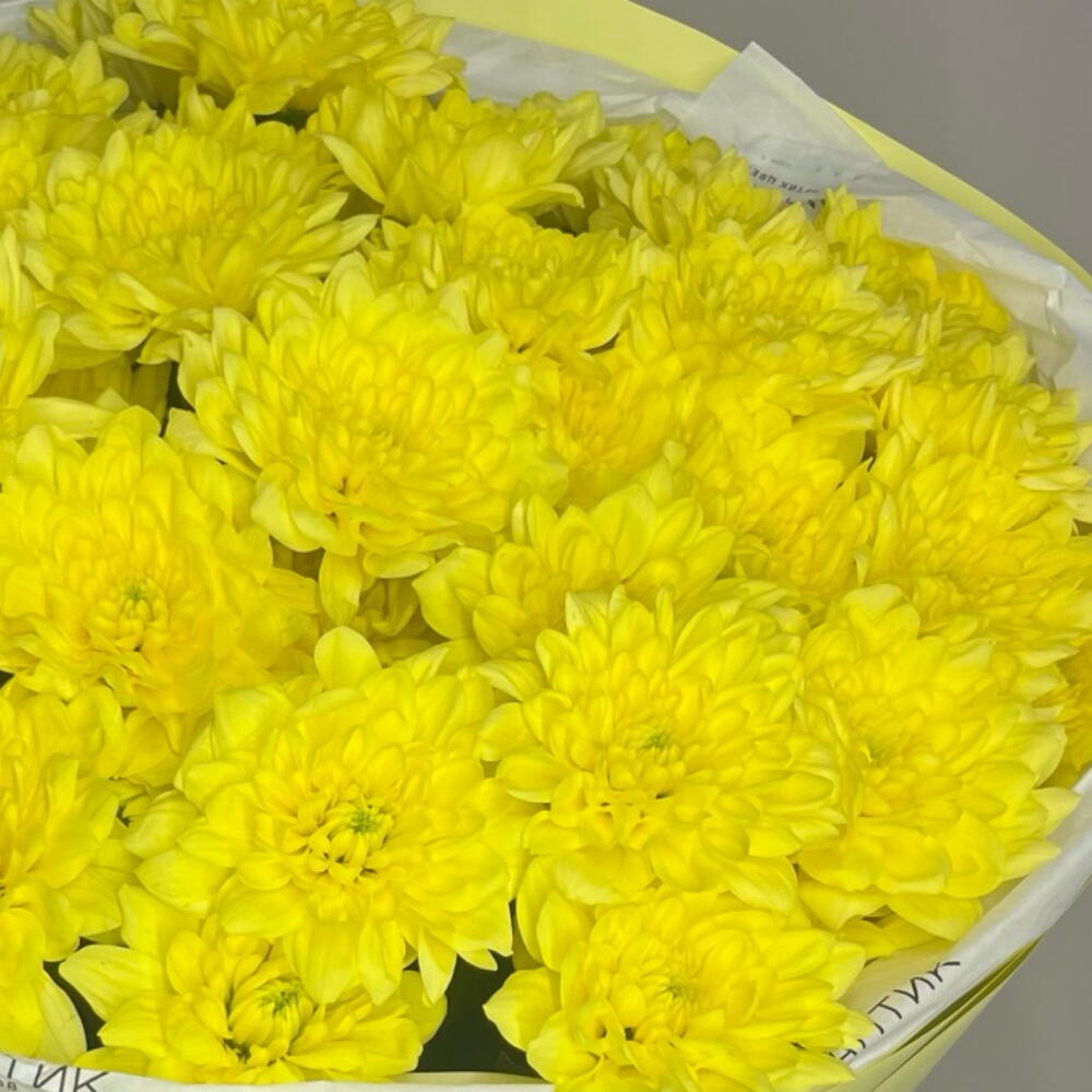 Букет из 7 кустовых солнечных хризантем️